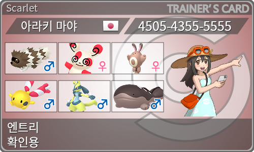 トレーナーカード