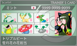 トレーナーカード