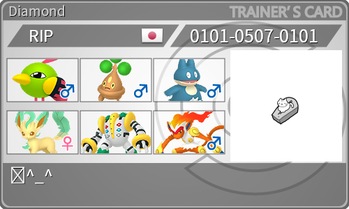 トレーナーカード