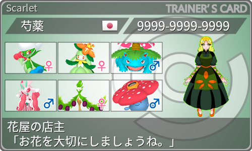 トレーナーカード