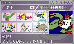 トレーナーカード