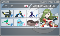トレーナーカード