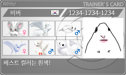 トレーナーカード