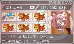 トレーナーカード