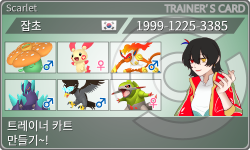 トレーナーカード