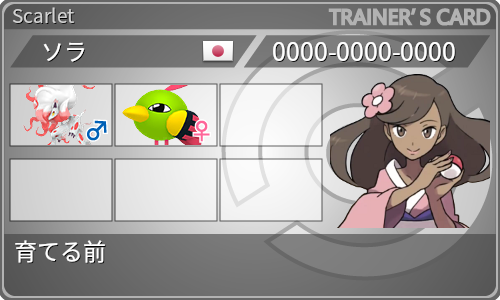 トレーナーカード