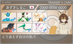 トレーナーカード