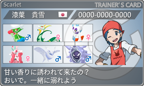 トレーナーカード