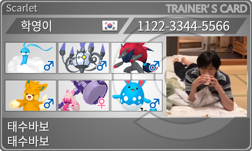 トレーナーカード