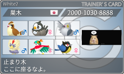 トレーナーカード