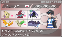 トレーナーカード