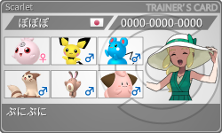 トレーナーカード