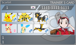 トレーナーカード