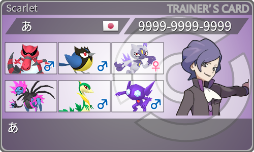 トレーナーカード