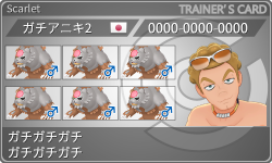 トレーナーカード