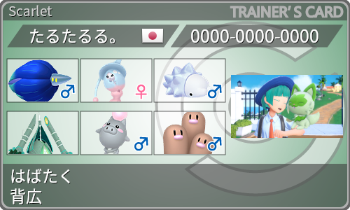 トレーナーカード