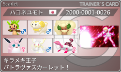 トレーナーカード