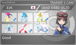 トレーナーカード