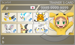 トレーナーカード