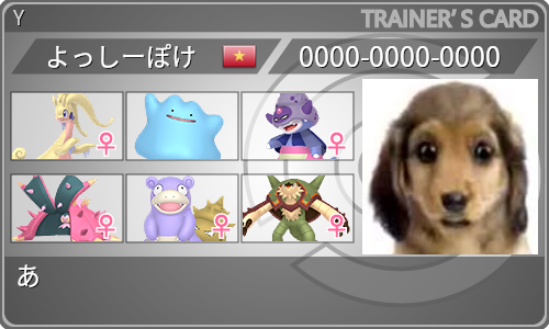 トレーナーカード