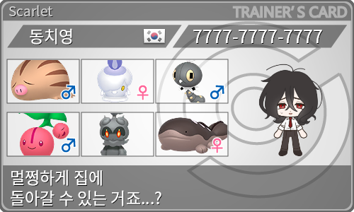 トレーナーカード