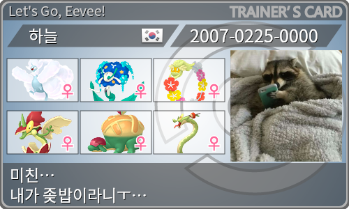 トレーナーカード