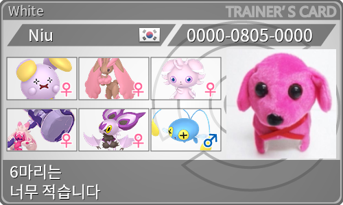 トレーナーカード