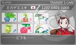 トレーナーカード