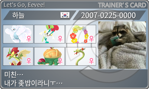 トレーナーカード