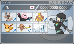 トレーナーカード