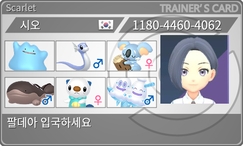 トレーナーカード