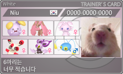 トレーナーカード