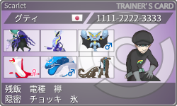 トレーナーカード