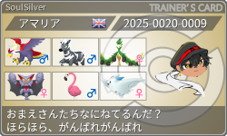 トレーナーカード