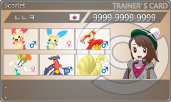 トレーナーカード