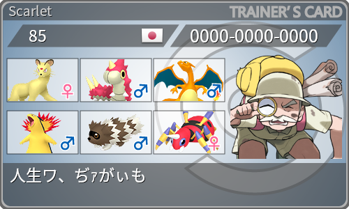 トレーナーカード