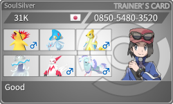 トレーナーカード