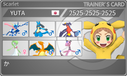 トレーナーカード