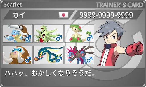 トレーナーカード
