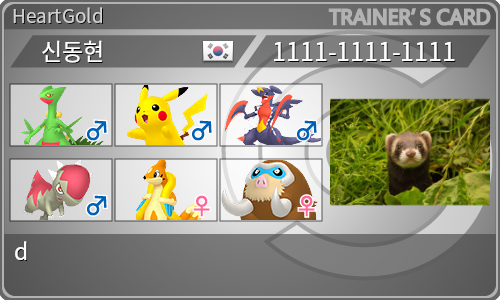 トレーナーカード