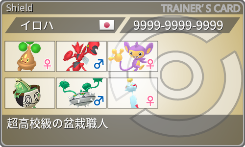 トレーナーカード