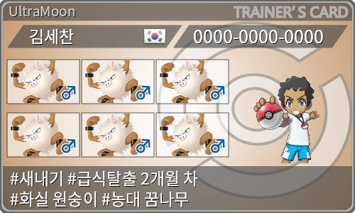 トレーナーカード