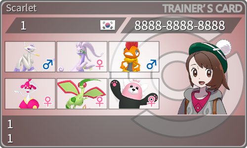 トレーナーカード